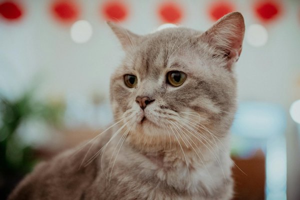 What are the benefits of investing in real estate for financial growth?